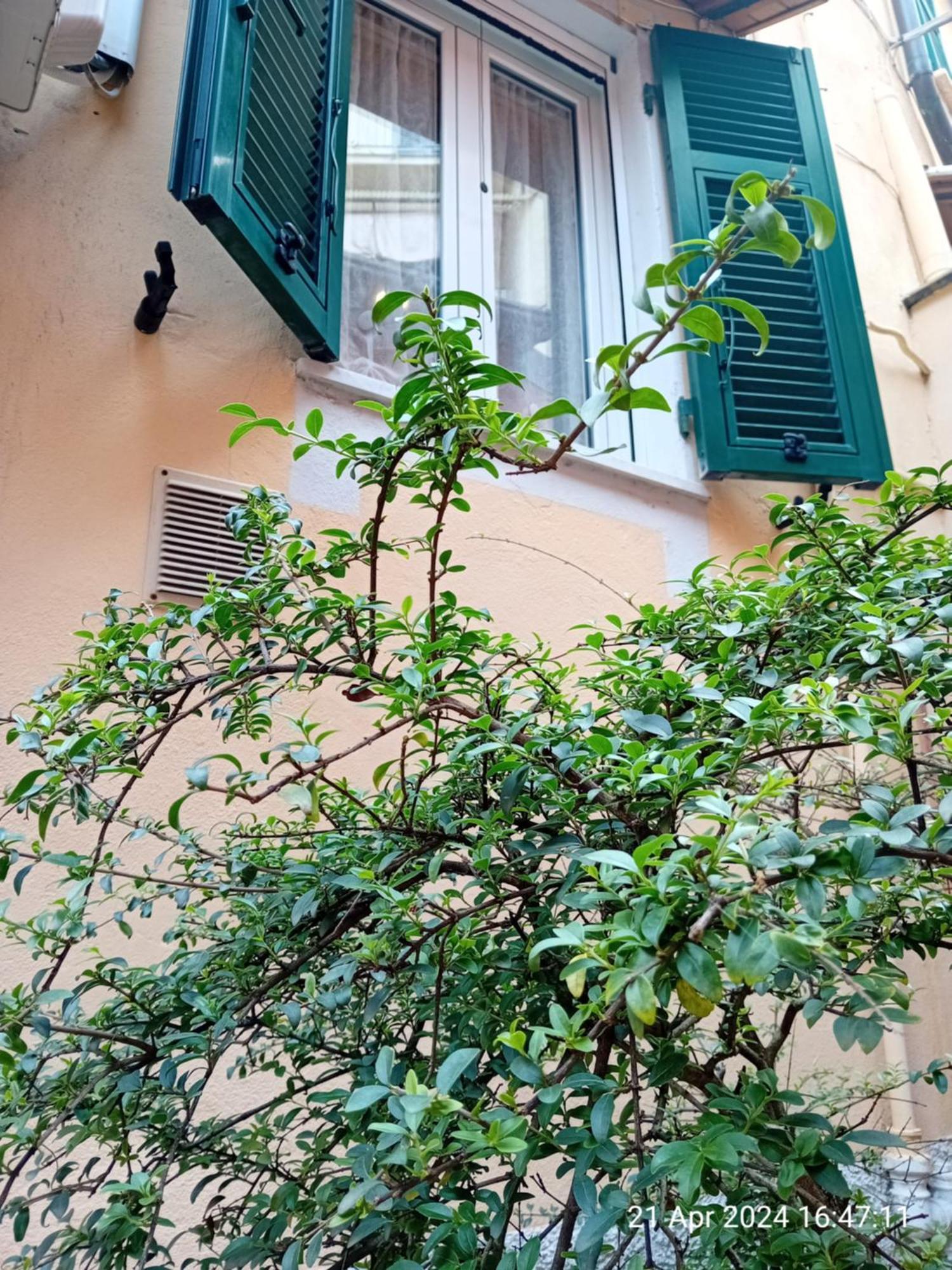 Appartamento Il Vicolo La Spezia Cinque Terre 외부 사진