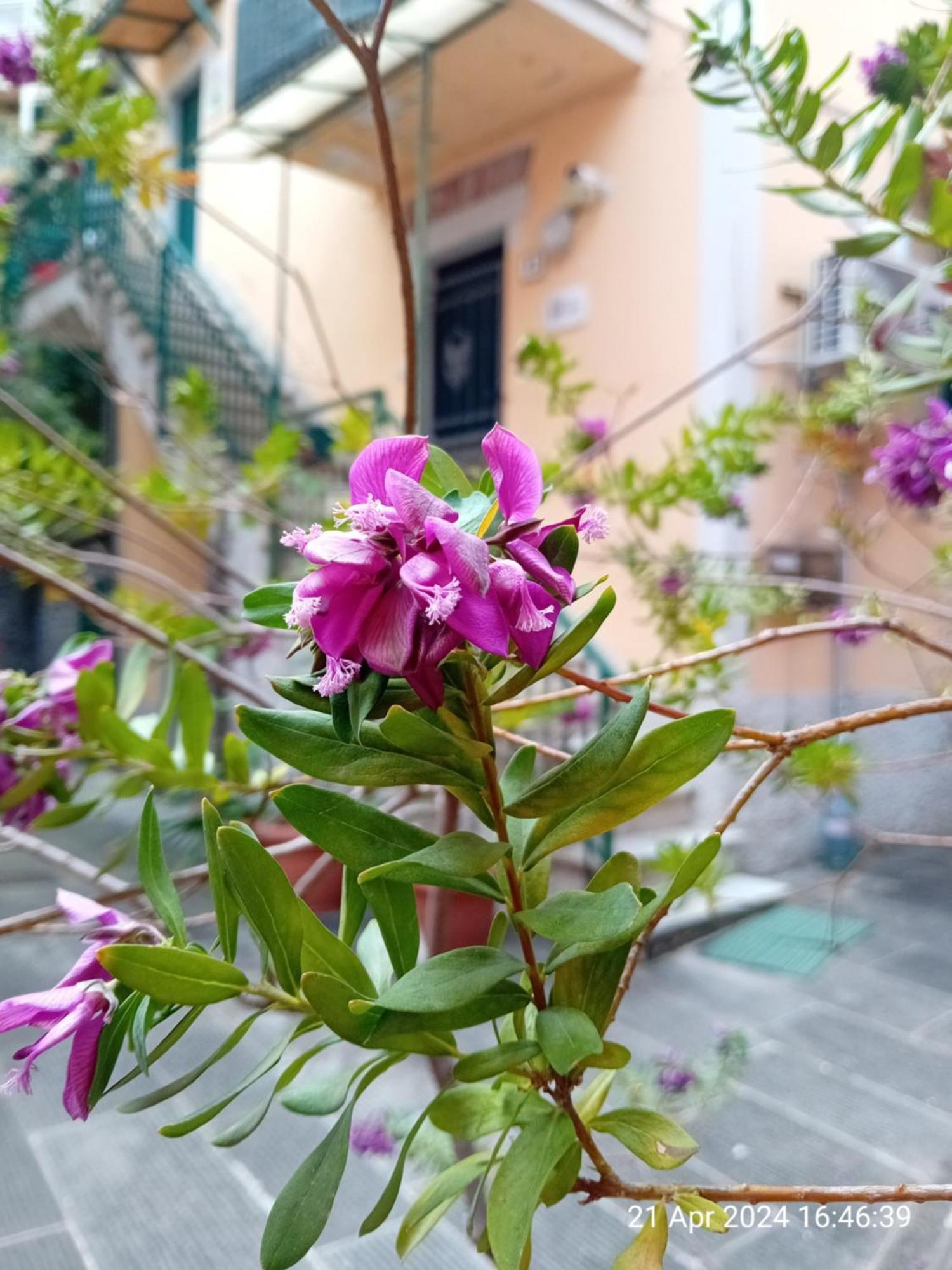 Appartamento Il Vicolo La Spezia Cinque Terre 외부 사진